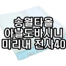 송월타월춘천
