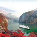 씨씨케이 이미지