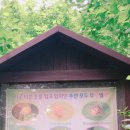 한울숲유치원 이미지