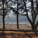 군평초등학교 이미지