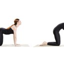 세이지 필라테스 이미지