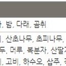 삼전리 마을회관 네이버블로그