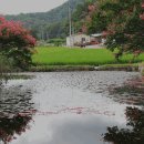 절부 화순최씨 정려각 이미지