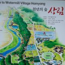 농월정