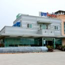 강변장어 이미지