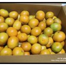 대진농장 이미지