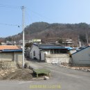 사창4리 이미지