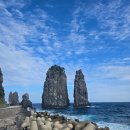 사자산달바위집 | 울릉도 해안선을 한바퀴 돌기 (예림원, 삼선암, 코끼리바위, 버섯바위, 노인봉, 사자바위, 거북바위 등)