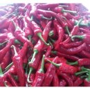 지후농장 이미지