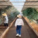 오티농장 | 부산 근교 김해 실내 체험 농장 슬로에팜 알로에 슬라임 아이랑 가볼만한곳