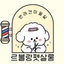 르블랑펫살롱 이미지