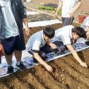 흥선농장 이미지