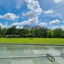 거북선에너지 | 대전시립미술관 열린수장고 상설전 <흔적>, 기획전 <엉뚱한 자연>, 프랙탈거북선 관람 후기