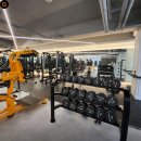 비브짐 PT&헬스 이미지