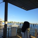 4007 | [브리즈번 1년살기] 브리즈번 잇 스트리트 야시장｜브리즈번 페리