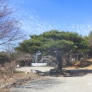백월산 이미지