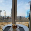 코브나인 이미지