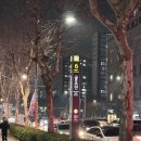 이마트24부평래미안점 | 부평점집 서린궁 후기 결혼운·이직운 삼재 보고왔어요