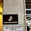 볼러스레인 티스토리