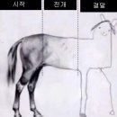 함덕예쁜집민박 네이버블로그