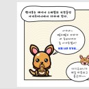 (주)키즈팡팡 이미지