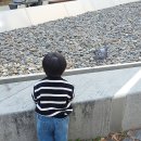 언어치료기록 #3 :: 치료센터 변경, 발달재활바우처 신청 및 언어치료 실비청구 후기