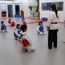 경희대 에이스 태권도 이미지