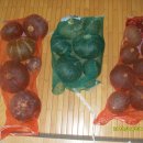 신호농장 이미지