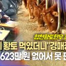 황토한우농장 이미지