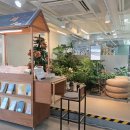 서재1체육관 이미지