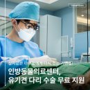 따스한 동물병원 | [인방동물병원] 자세하고 친절한 상담, 슬개골 수술 전문 동물병원 추천 (유기동물 수술 지원)