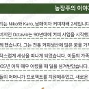 세인트빈 노은점 이미지