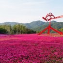 서울출발, 원주 뮤지엄산으로 가는 셔틀버스 이미지