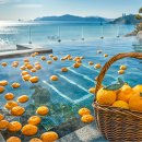 파라다이스호텔 이미지