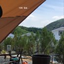 덕이네 펜션&캠핑 이미지