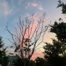 한강목장 이미지