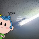 천리전업사 네이버블로그