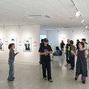 아트콜라보 노컷뉴스