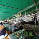 토배기산장 | 전주 근교 물놀이! "아이들과 가기 좋은 토배기산장" 다녀왔어요 :)