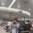 훌라댄스 이미지