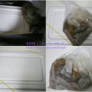 삼양정육점 - 오산시 성호대로93번길 55 | 삼양정육점