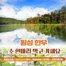 횡성안흥더덕