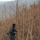 무진장농원 이미지