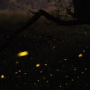 빌라드 무주 이미지