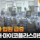 코로나 입원 급증…백일해·마이코플라스마도 유행 이미지