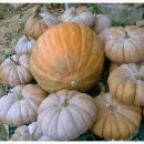 신우목장 이미지