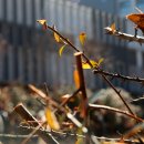 금호동주민자치센터 이미지