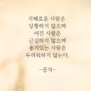 도리도리