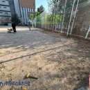 동산초등학교 이미지