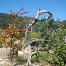 신농비료산업 이미지